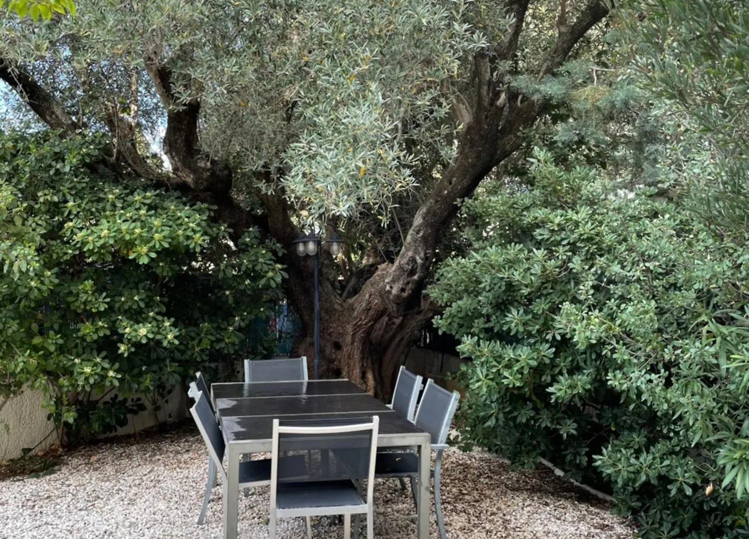 Studio Grand Jardin Minimum 7 Nuits Bandol
